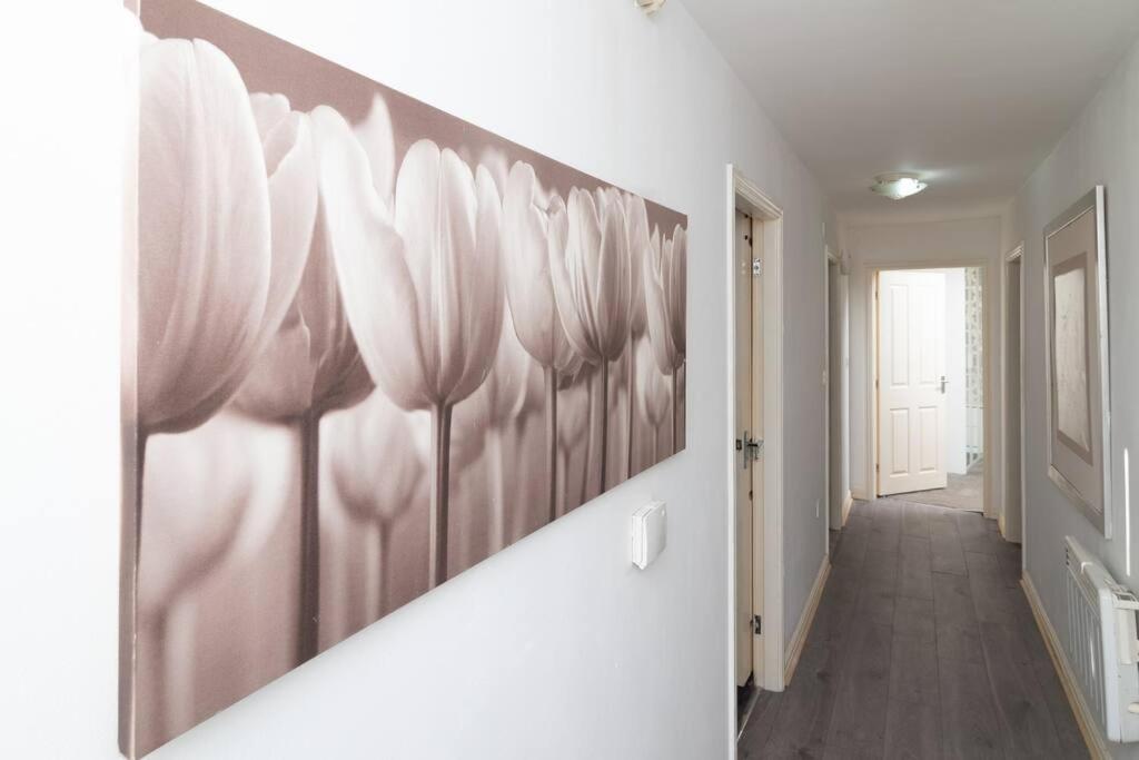 Gem 3 Bedroom House Private Parking Apartment